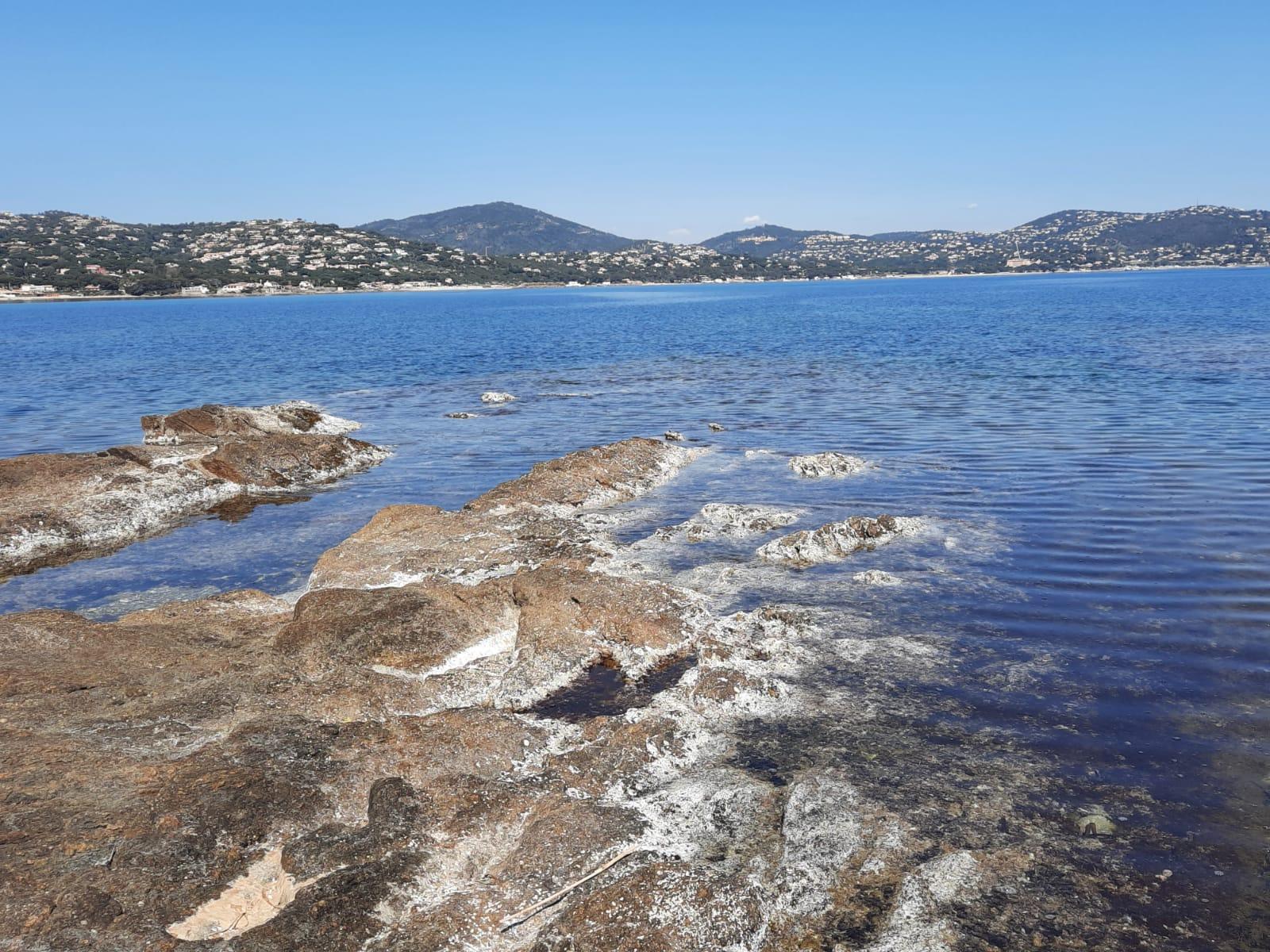 Gite avec jacuzzi entre sainte maxime et les gorges du verdon 3