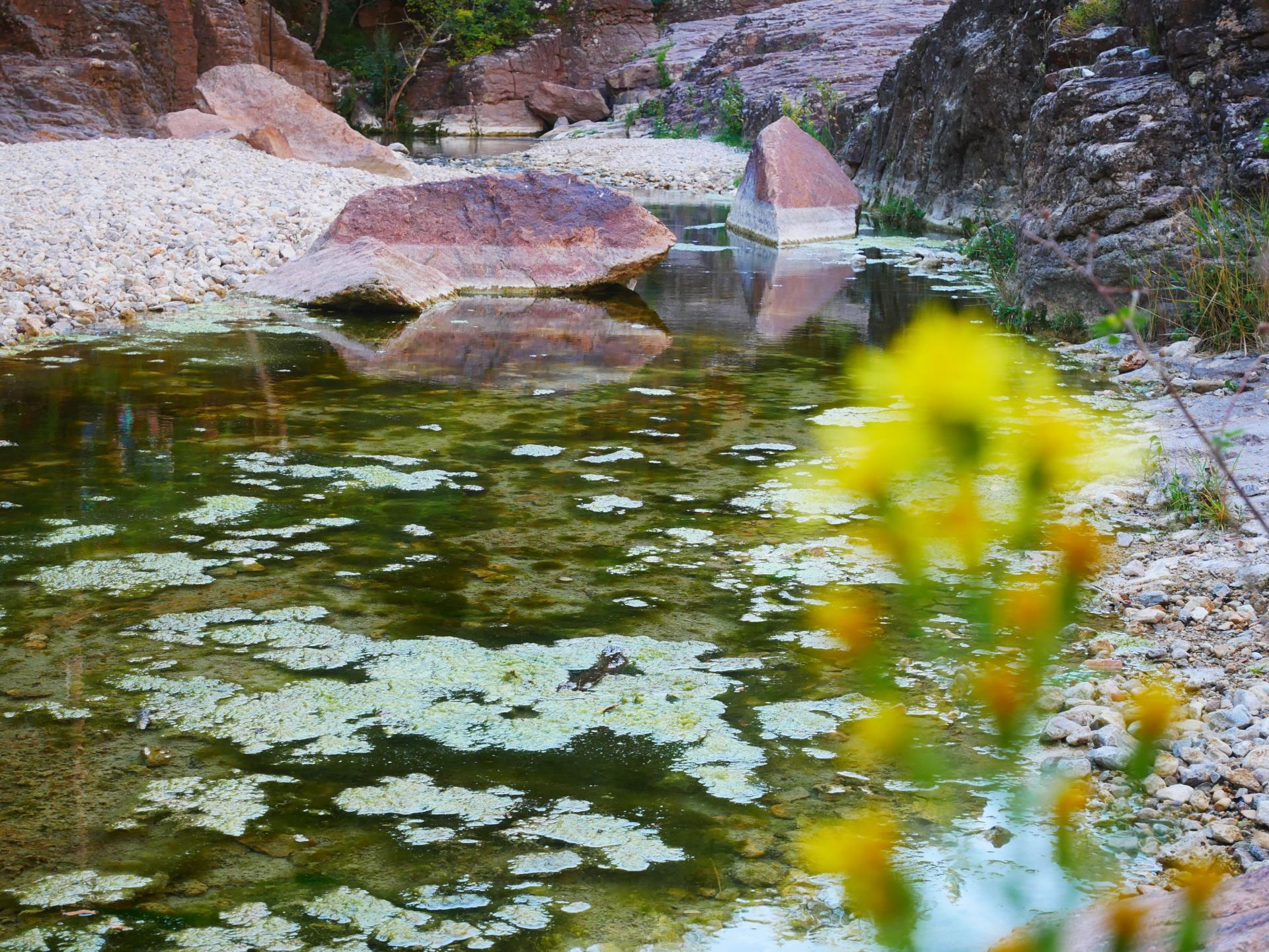 Gorges de pennafort callas var provence 10mn des gites du moulin 30