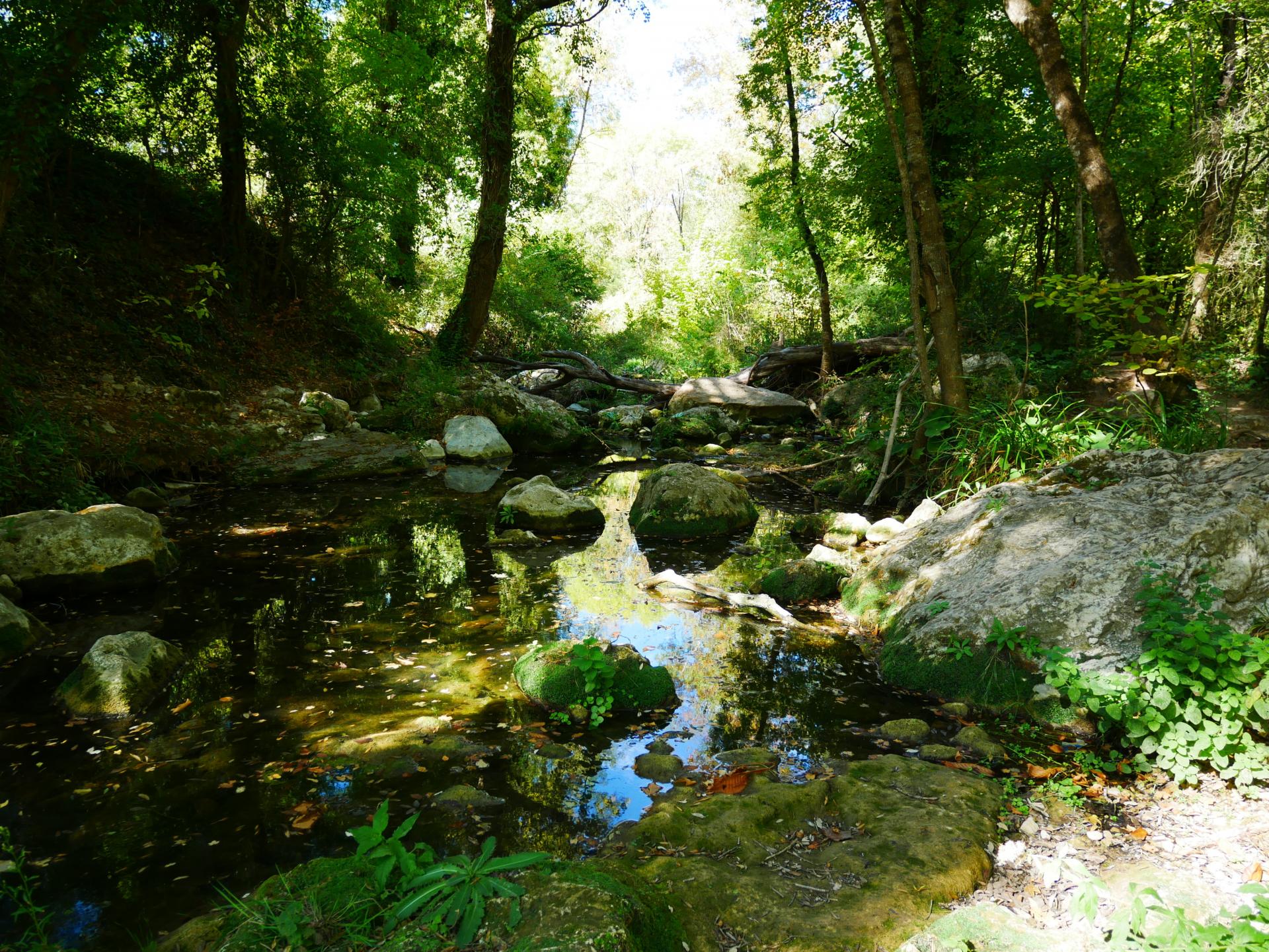 Gorges de pennafort callas var provence 10mn des gites du moulin 5