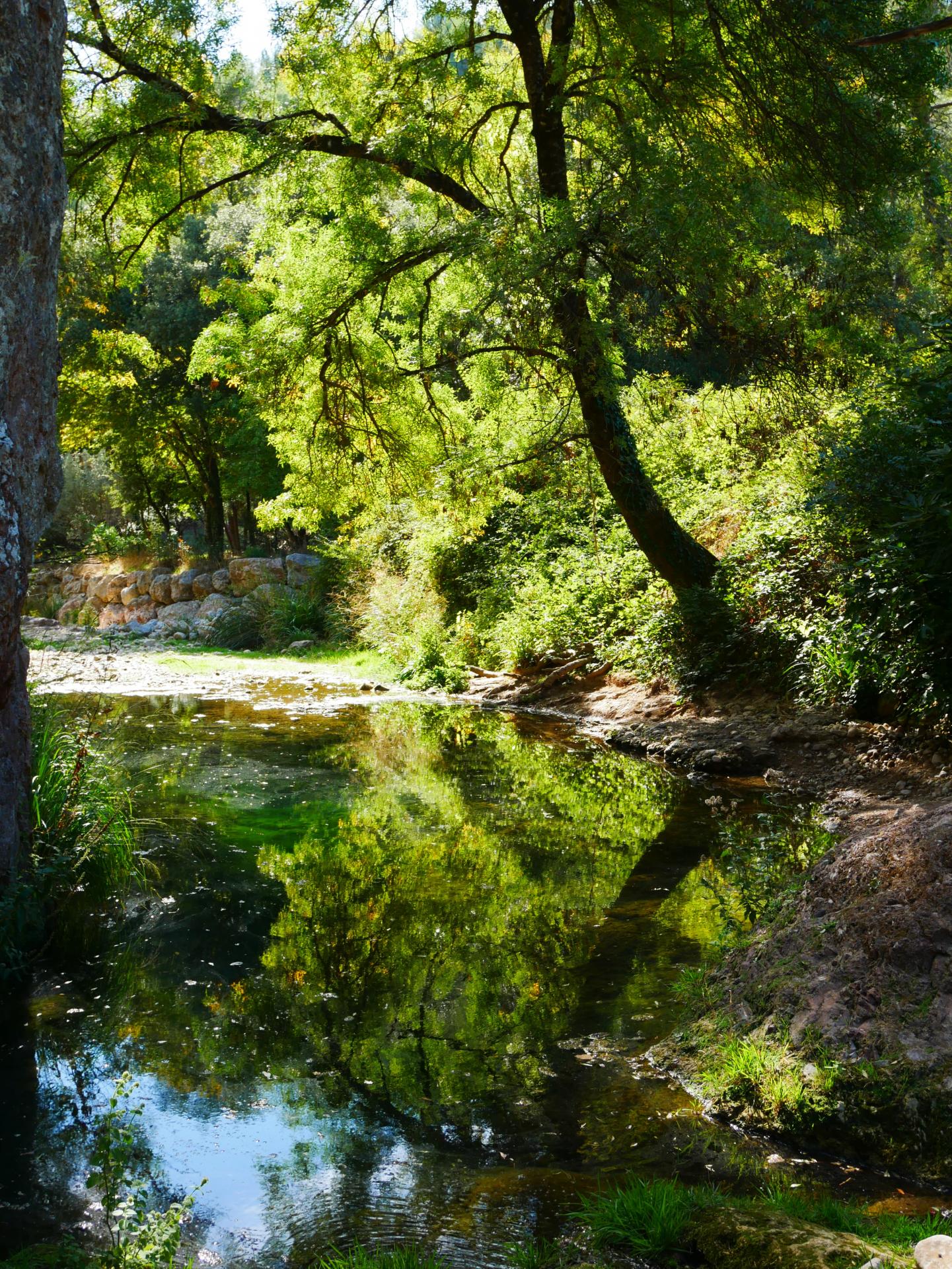 Gorges de pennafort callas var provence 10mn des gites du moulin 8