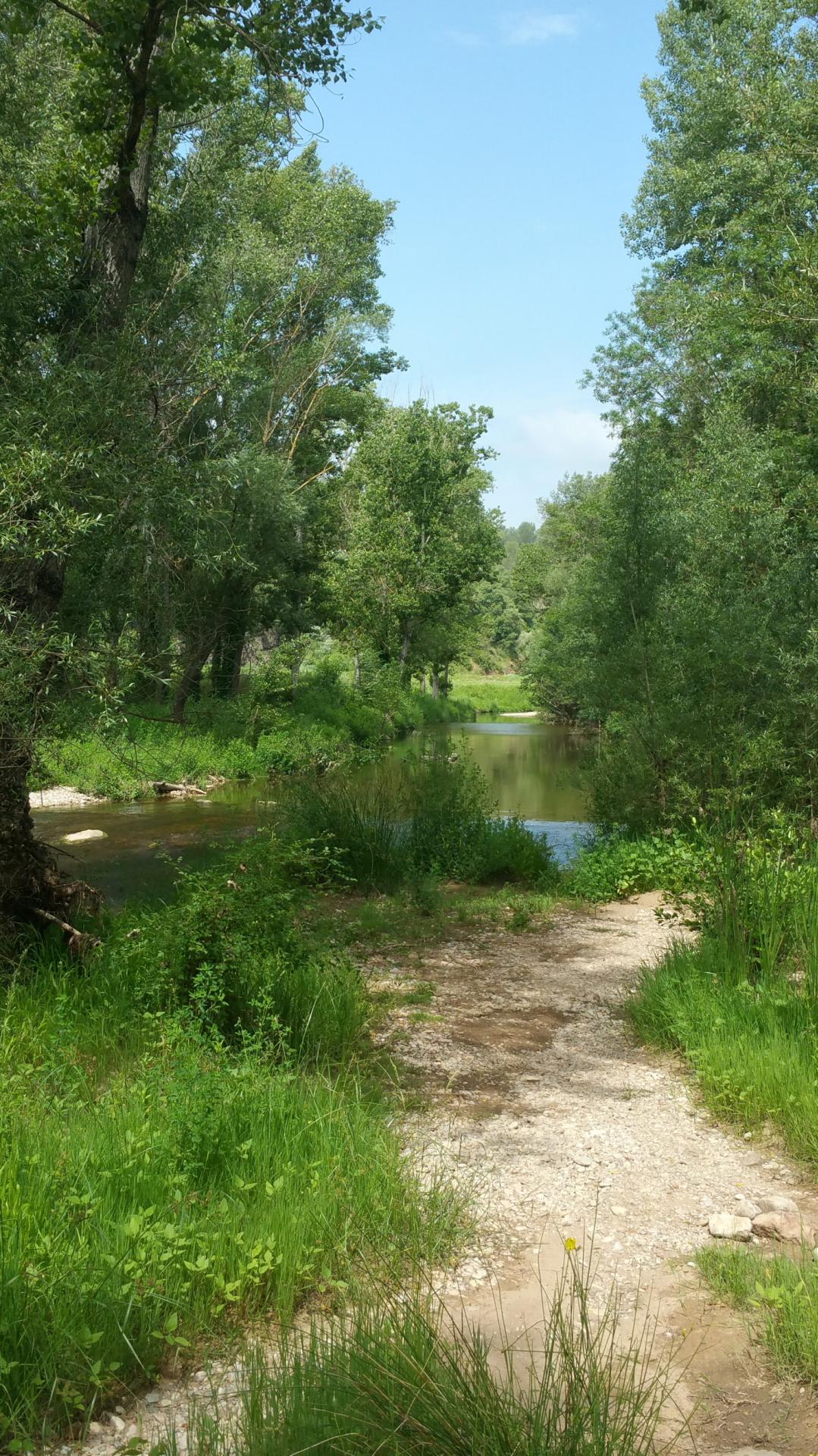 Lac de l endre et de la mirade golf saint andreol gites du moulin de callas var 16 2