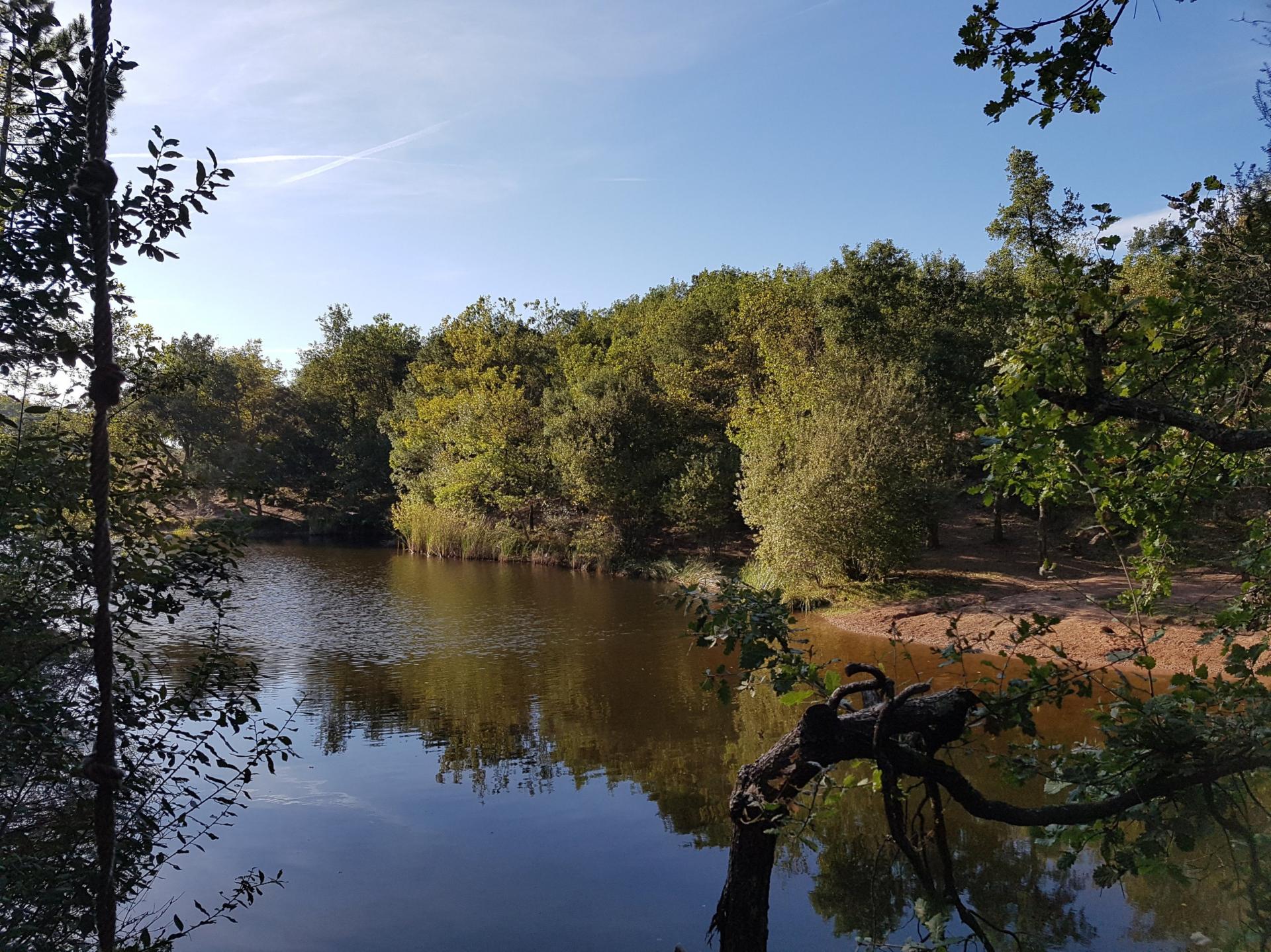 Lac du rioutard saint paul en foret gorges du verdon sejour provence 2