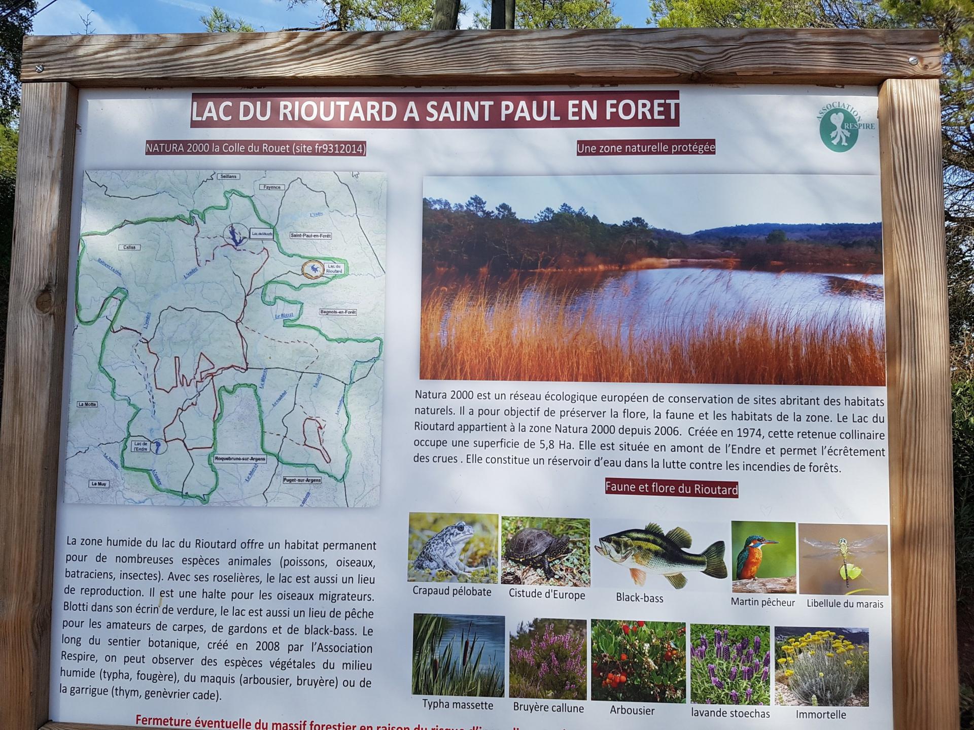 Lac du rioutard saint paul en foret gorges du verdon sejour provence 4