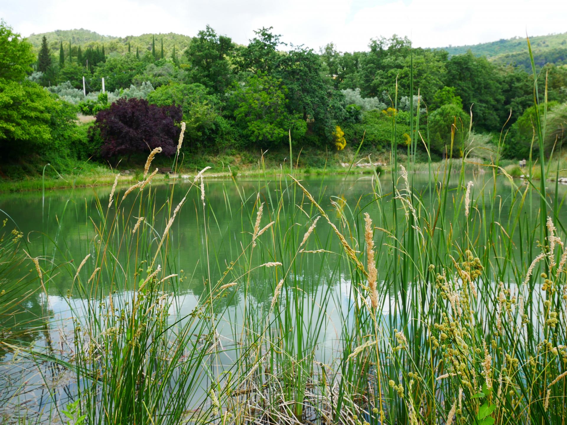 Le lac de la risse a callas dans le var provence 11