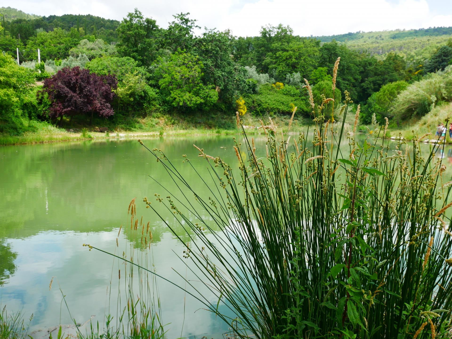 Le lac de la risse a callas dans le var provence 12