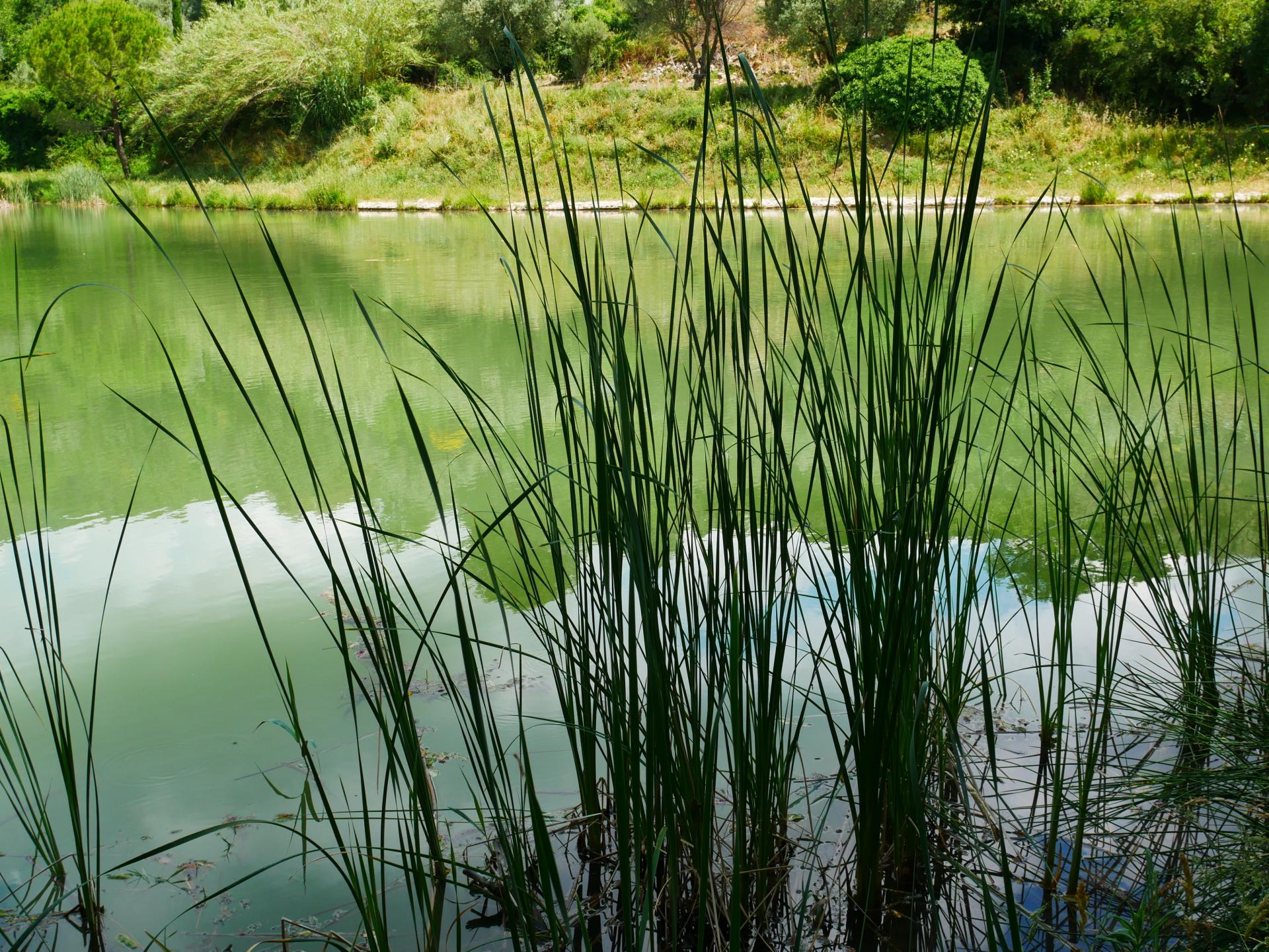 Le lac de la risse a callas dans le var provence 4